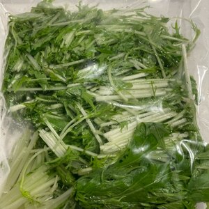 水菜の冷凍保存